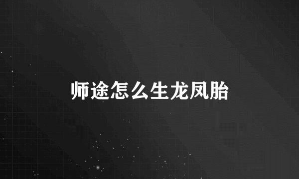 师途怎么生龙凤胎